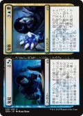 発見+発散/Discovery+Dispersal (GRN)