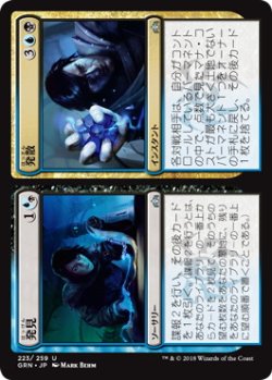 画像1: 発見+発散/Discovery+Dispersal (GRN)