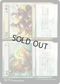 開花+華麗/Flower+Flourish (GRN)《Foil》