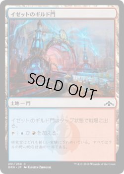 画像1: イゼットのギルド門/Izzet Guildgate【Ver.1】 (GRN)《Foil》