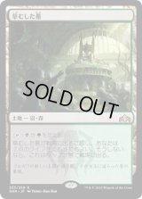 草むした墓/Overgrown Tomb (GRN)