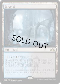 湿った墓/Watery Grave (GRN)《Foil》