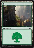 森/Forest (GRN)