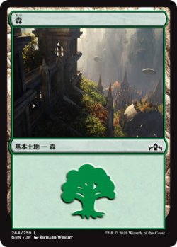 画像1: 森/Forest (GRN)