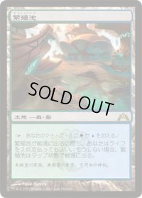 繁殖池/Breeding Pool (GTC)《Foil》