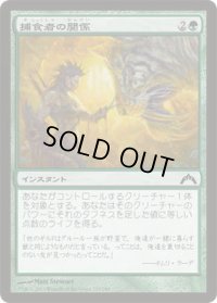 捕食者の関係/Predator's Rapport (GTC)《Foil》