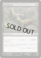 集団疾病/Illness in the Ranks (GTC)《Foil》