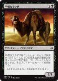 不憫なラクダ/Wretched Camel (HOU)《Foil》