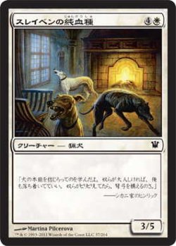 画像1: スレイベンの純血種/Thraben Purebloods (ISD)《Foil》