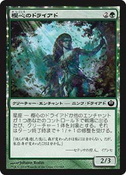 画像1: 樫心のドライアド/Oakheart Dryads (JOU)《Foil》