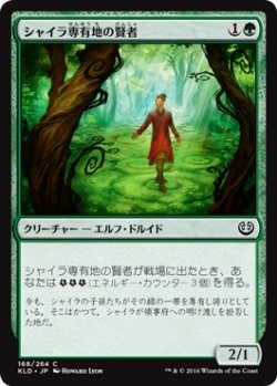 画像1: シャイラ専有地の賢者/Sage of Shaila's Claim (KLD)《Foil》