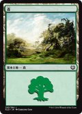 森/Forest【Ver.2】(KLD)《Foil》