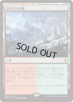 画像1: 樹木茂る山麓/Wooded Foothills (KTK)《Foil》