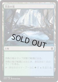 茨森の滝/Thornwood Falls (KTK)《Foil》