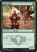 族樹の管理人/Kin-Tree Warden (KTK)《Foil》