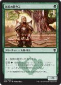 族樹の管理人/Kin-Tree Warden (KTK)《Foil》
