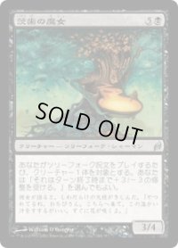 茨歯の魔女/Thorntooth Witch (LRW)《Foil》
