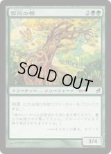 雲冠の樫/Cloudcrown Oak (LRW)《Foil》