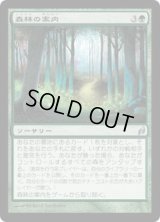 森林の案内/Woodland Guidance (LRW)《Foil》