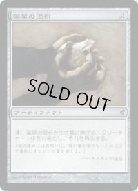 薬草の湿布/Herbal Poultice (LRW)《Foil》