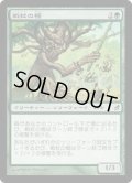 戦杖の樫/Battlewand Oak (LRW)《Foil》