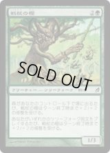 戦杖の樫/Battlewand Oak (LRW)《Foil》