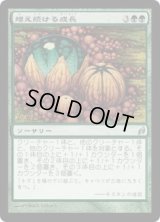 増え続ける成長/Incremental Growth (LRW)《Foil》