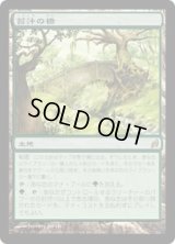 苔汁の橋/Mosswort Bridge (LRW)《Foil》
