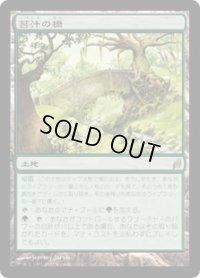 苔汁の橋/Mosswort Bridge (LRW)《Foil》