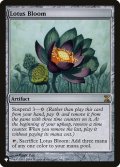 睡蓮の花/Lotus Bloom (LST)