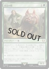 賞品の豚/Prize Pig (LTC)