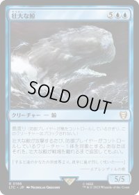 壮大な鯨/Colossal Whale (LTC)