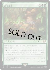 苦行主義/Asceticism (LTC)