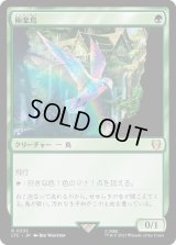 極楽鳥/Birds of Paradise (LTC)