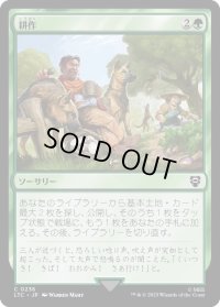 耕作/Cultivate (LTC)