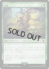 木化/Lignify (LTC)