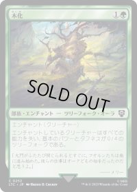 木化/Lignify (LTC)