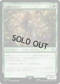楽園のドルイド/Paradise Druid (LTC)