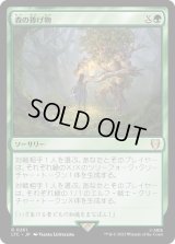 森の捧げ物/Sylvan Offering (LTC)