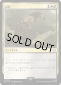 屈辱/Mortify (LTC)