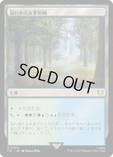 溢れかえる果樹園/Flooded Grove (LTC)