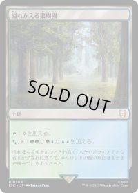 溢れかえる果樹園/Flooded Grove (LTC)