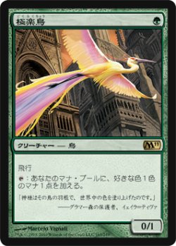 画像1: 極楽鳥/Birds of Paradise (M11)《Foil》