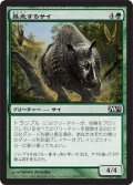 暴走するサイ/Stampeding Rhino (M12)《Foil》