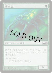 結合虫/Bond Beetle (M13)《Foil》