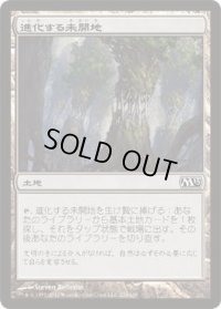 進化する未開地/Evolving Wilds (M13)《Foil》
