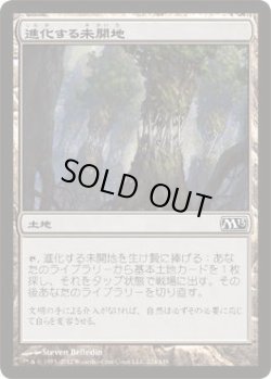 画像1: 進化する未開地/Evolving Wilds (M13)《Foil》