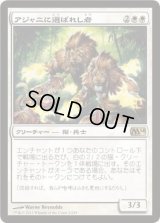 アジャニに選ばれし者/Ajani's Chosen (M14)《Foil》