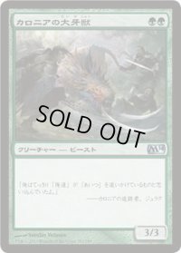 カロニアの大牙獣/Kalonian Tusker (M14)《Foil》