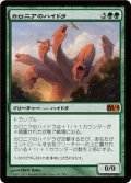 カロニアのハイドラ/Kalonian Hydra (M14)《Foil》